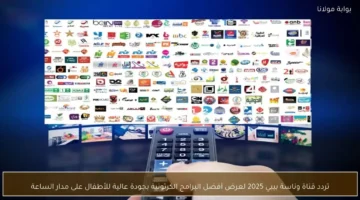 تحديث التردد الجديد.. ضبط قناة وناسة ببيي لمتابعة أقوى برامج الأطفال بالأقمار الصناعية